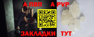 стаф Кунгур