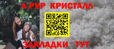 стаф Кунгур