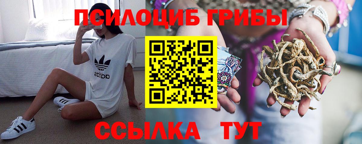 Бирск  Псилоцибиновые грибы GOLDEN TEACHER  Галлюциногенные грибы Psilocybine cubensis  Вход с VPN 