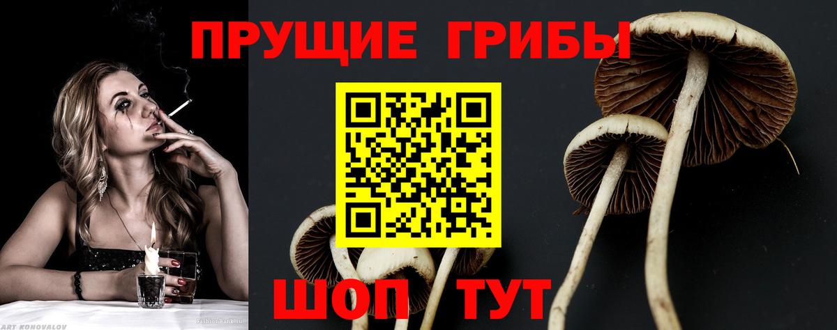 Галлюциногенные грибы GOLDEN TEACHER Бирск